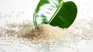 The world's first biomass