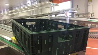 Il Visone transforms grap