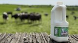 EREMA increases efficiency in post consumer recycling