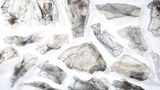 Recykling tacek PET: technologia, skala i wyzwania branży