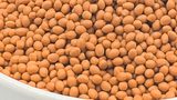 Golden Compound wprowadza pastelowe masterbacze Bio-PBS