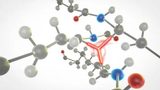 Focus on radiation crosslinking: BGS experts at K 2025