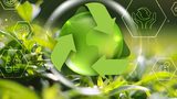 Transformacja branży recyklingowej w Polsce – wyzwania i perspektywy