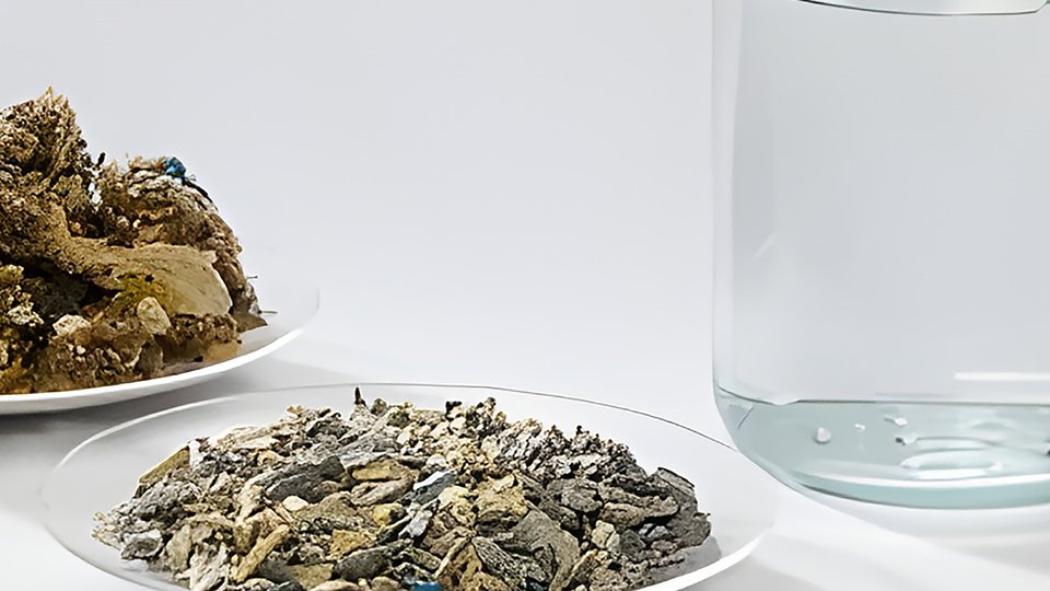 Recycling automotive shredder residue and bio-waste into high-value feedstock