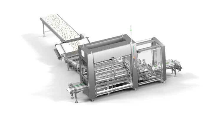 The new Syntegon counting feeder groups biscuits particularly gently and places them in cardboard or plastic trays or in flowpackers. (Image: Syntegon)