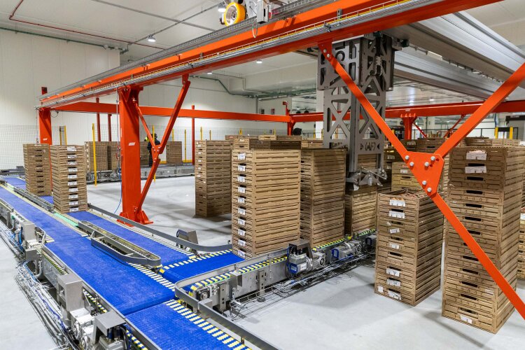 Wielokrotnego użytku skrzynki i pojemniki plastikowe Tosca Wood Look stosowane przez Iperal
