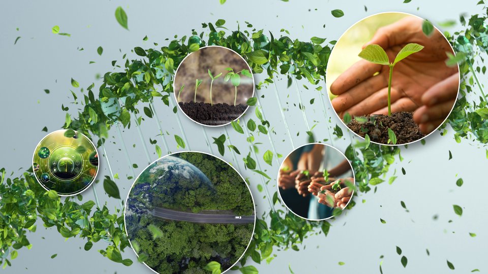 CDP again recognizes BASF for climate and environmental action
