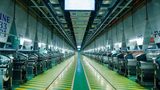 New fully digitalized Unitex plant in Trang Bang