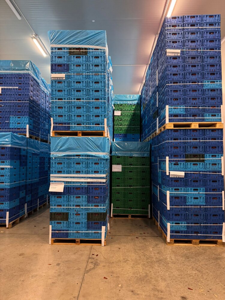 Transport and storage of reusable Tosca crates at Fiordelisi