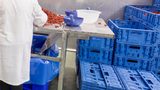 Fiordelisi zwiększa efektywność logistyki z opakowaniami Tosca