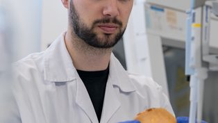 Aimplas rozwija projekt V