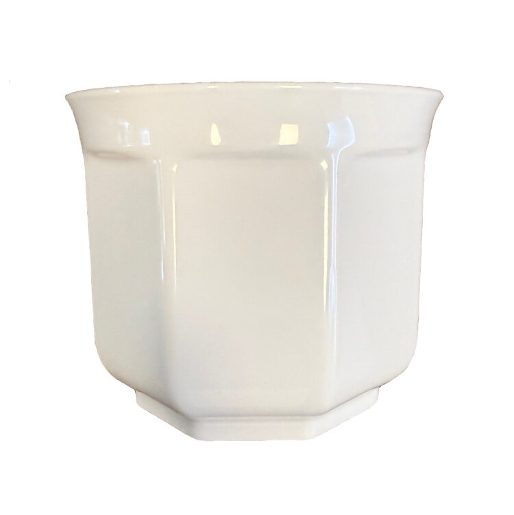 At the Wittmann booth during Elmia Polymer 2026, high-quality plant pots will be produced on an all-electric EcoPrimus injection molding machine.