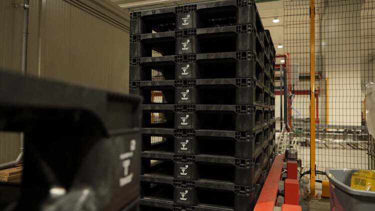 Tosca CP 1208 pallet, construction features supporting automated handling