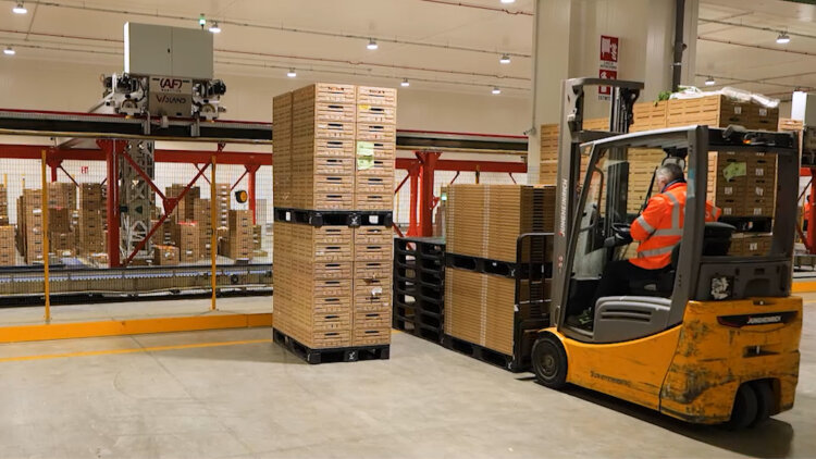 Reusable plastic pallet with features supporting cleaning and water drainage