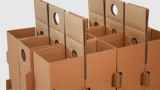 Bottle shipping packaging