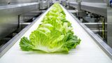 Clariant receives FDA approval for Licocare RBW additives