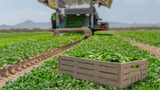 Tosca on the role of reusable packaging in Europe