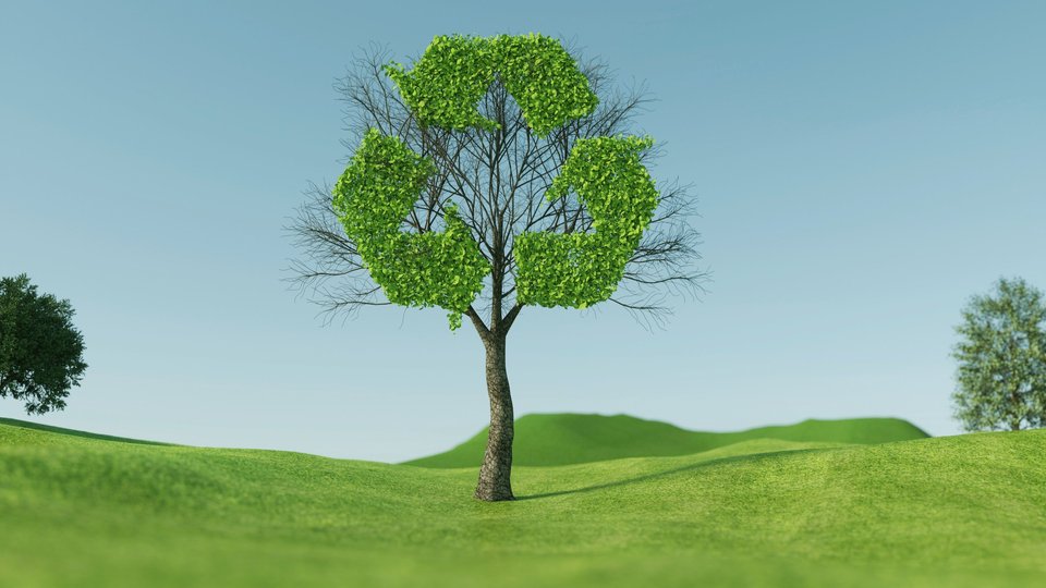 RecyClass strengthens the role of recyclate in packaging