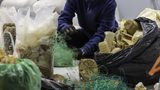 Oceanzyme bada enzymatyczny recykling odpadów morskich