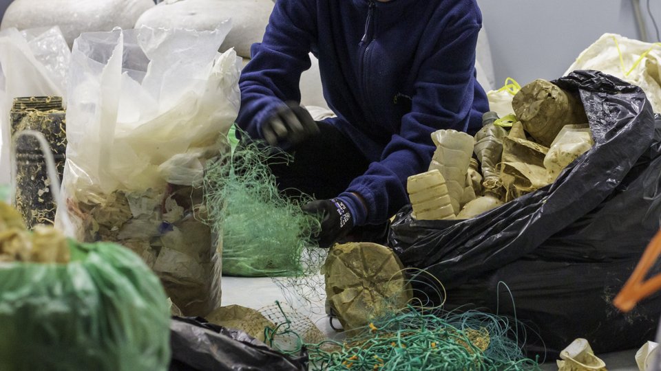 Oceanzyme investigates enzymatic recycling of marine waste