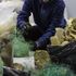 Oceanzyme bada enzymatyczny recykling odpadów morskich