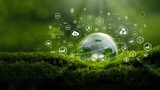 Amcor zdobywa dwie nagrody Sustainability and Impact