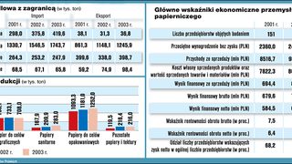 Branża papiernicza - anal