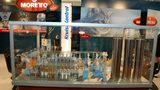 Technologia podawania firmy Moretto na targach Plastpol