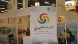 Współpraca Krakchemii z Dospel Plastics