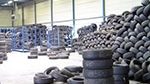 Orzeł chce produkować kau