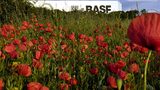 Program BASF do analizy tworzyw sztucznych