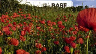 Program BASF do analizy t