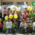 Drzewko za butelkę 2006...