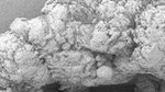 New GUR X 192 macropowder