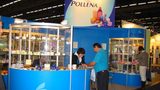 Pollena czerpie z inwestycji
