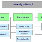 Kalkulacja form...