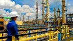 Braskem-Idesa selects Lup