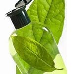 Biodegradation behaviour will affect PCL and PBS disposal
