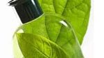 Biodegradation behaviour 