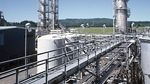 Solvay wants to buy Rhodi