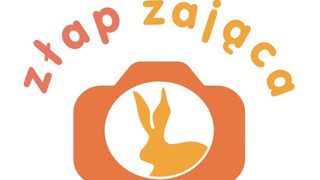 Znów łapią zająca