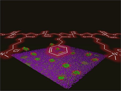 First biodegradable antimicrobial polymer nanoparticles