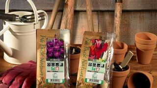 Folia Nature Flex: lepsze