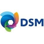 DSM inaugurates India’s first composite material school