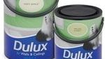 Dulux w opakowaniu z PCR