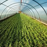 Nowe stabilizatory BASF