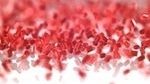 Solvay expands cooperatio