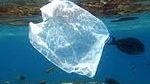 Waste Free Oceans