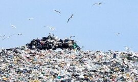 U.S. Marines denounced the War on Trash