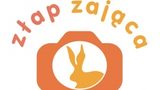W pogoni za zającem